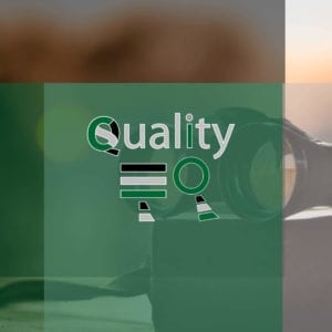 small business website audit